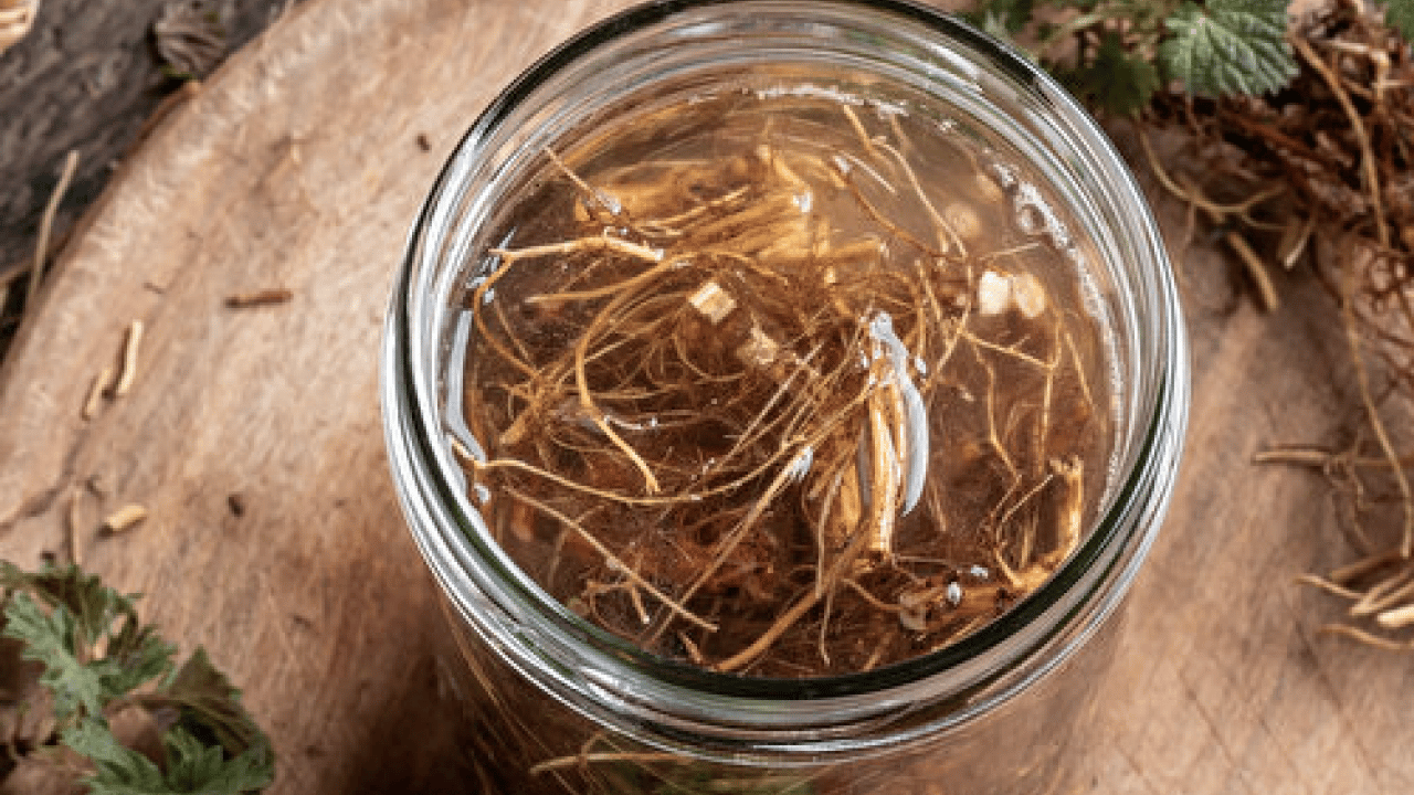 Foto - İşte ünlü alimin dilinden hiç düşmeyen o gıda deposu... İbn-i Sina'nın mucize bitkisi ortaya çıktı! 