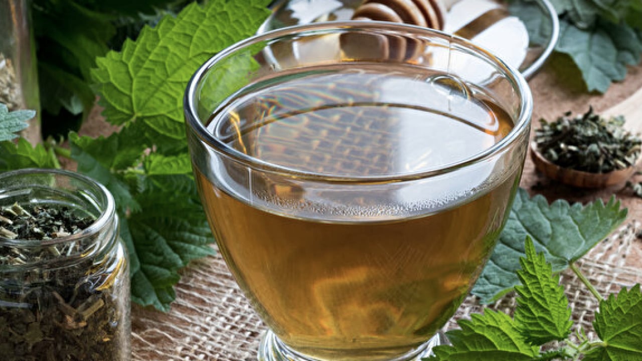 Foto - İşte ünlü alimin dilinden hiç düşmeyen o gıda deposu... İbn-i Sina'nın mucize bitkisi ortaya çıktı! 