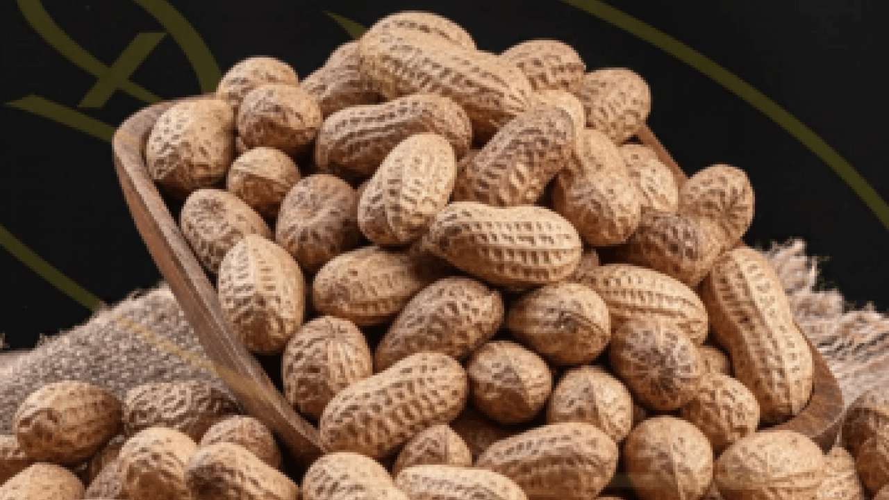 Yer fıstığı alerjisinin nedenleri! Ne yapıp edip bunu çözümlemelisiniz artık!