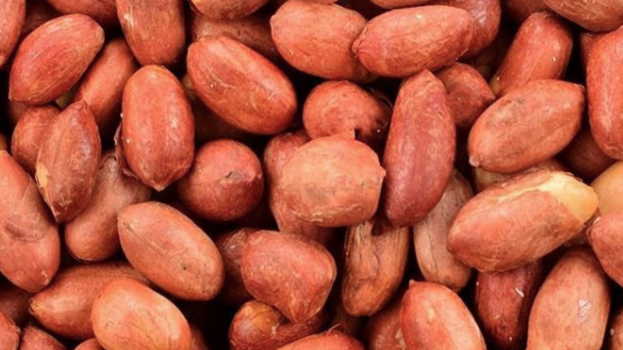 Foto - Yer fıstığı alerjisinin nedenleri! Ne yapıp edip bunu çözümlemelisiniz artık!