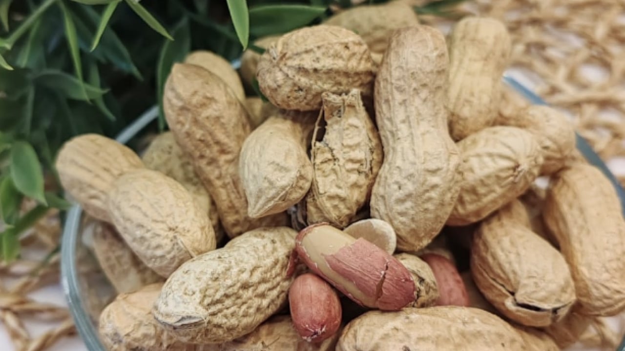 Foto - Yer fıstığı alerjisinin nedenleri! Ne yapıp edip bunu çözümlemelisiniz artık!