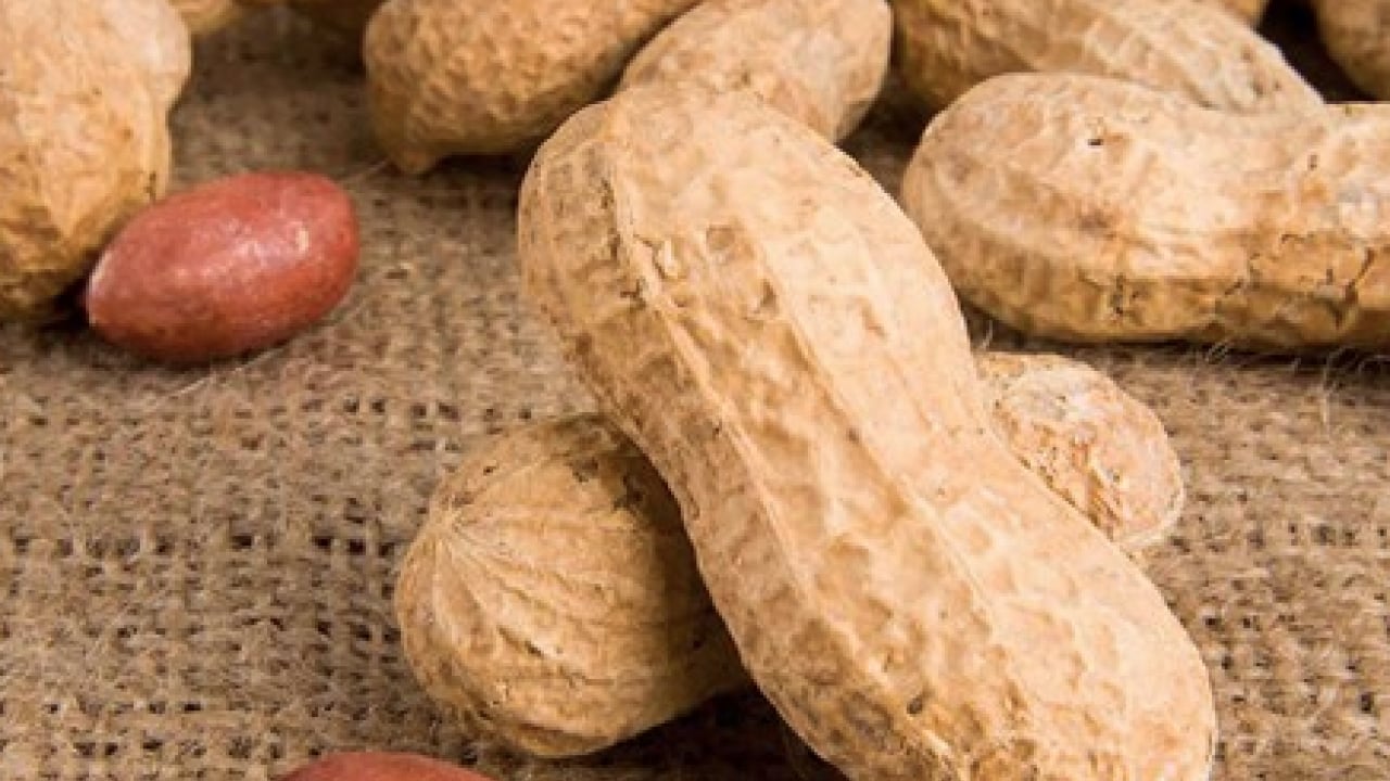 Foto - Yer fıstığı alerjisinin nedenleri! Ne yapıp edip bunu çözümlemelisiniz artık!