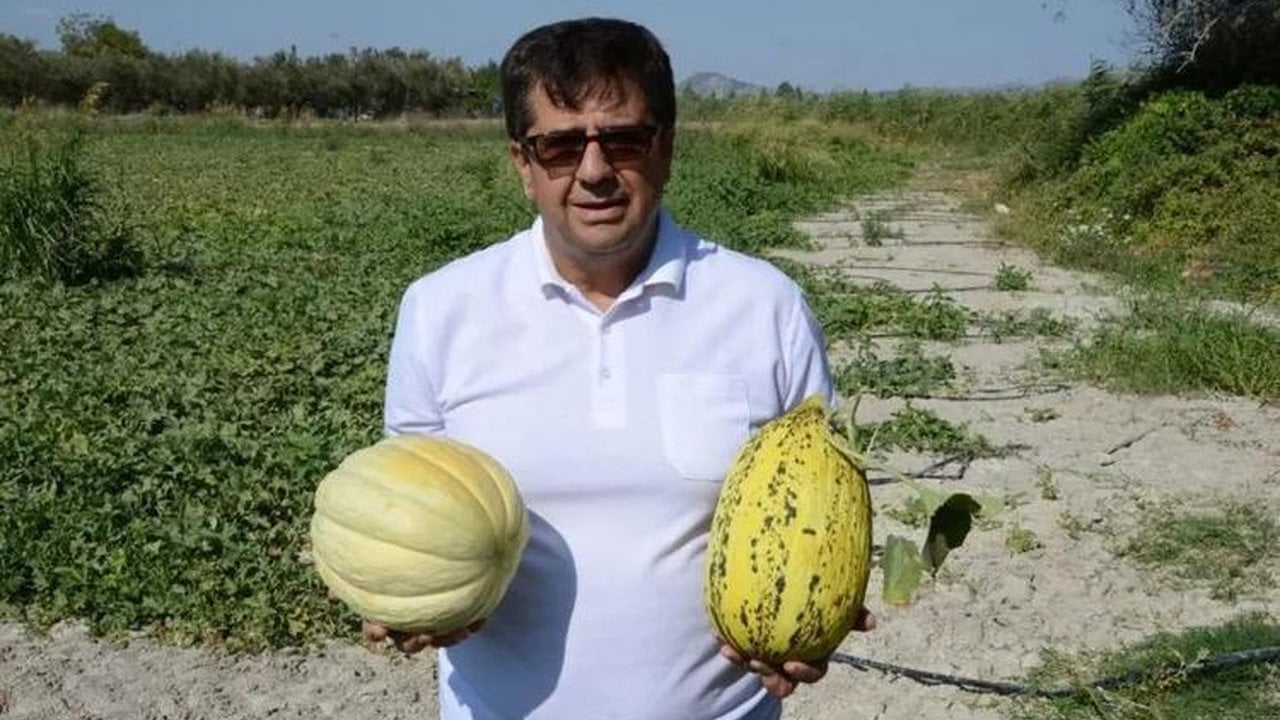 Foto - İşte yerli tohumun zaferi! Sadece onunla üretiyorlar, kuyruklar günler öncesinden oluşuyor