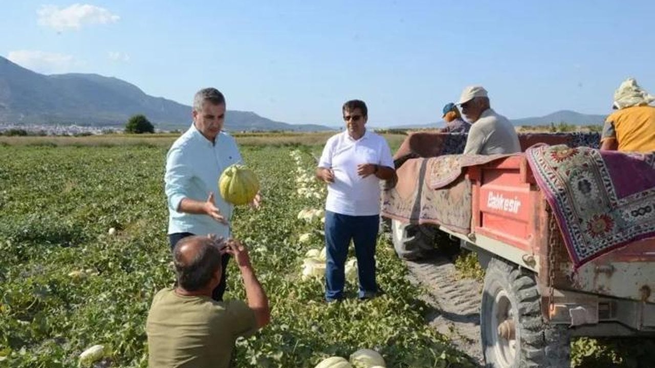 Foto - İşte yerli tohumun zaferi! Sadece onunla üretiyorlar, kuyruklar günler öncesinden oluşuyor
