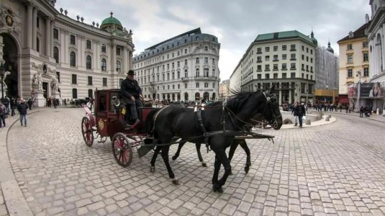 Foto - İster yaşa ister çalış