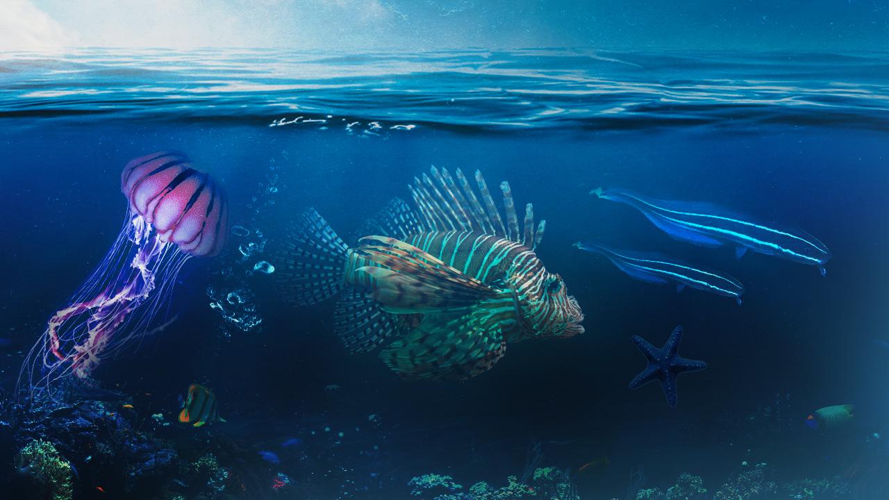 Foto - İstilacı türlerle mücadelede yeni dönem!