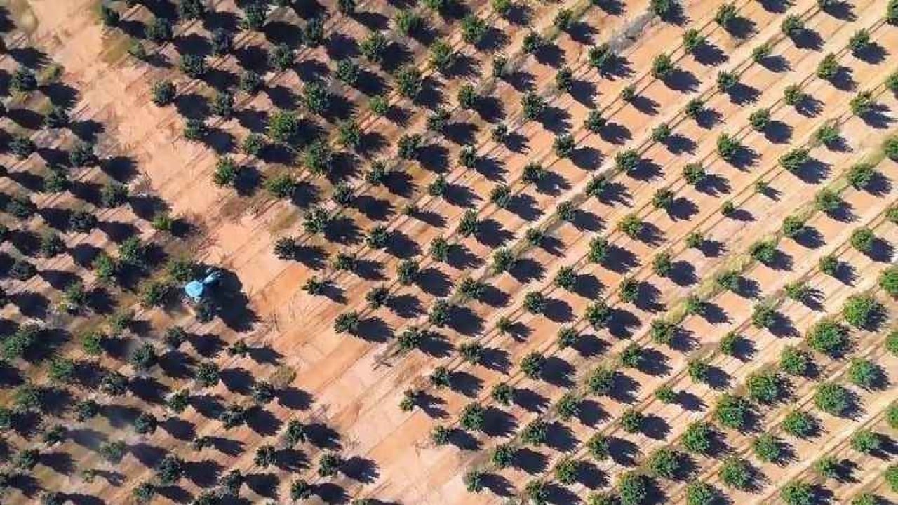 Foto - İtalyan Ferrero Türkiye'den alımı durdurdu! Büyük kriz patladı