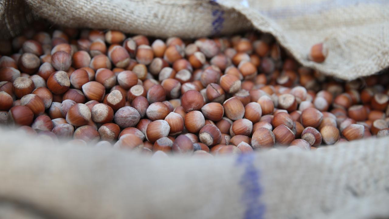 Foto - İtalyan Ferrero Türkiye'den alımı durdurdu! Büyük kriz patladı