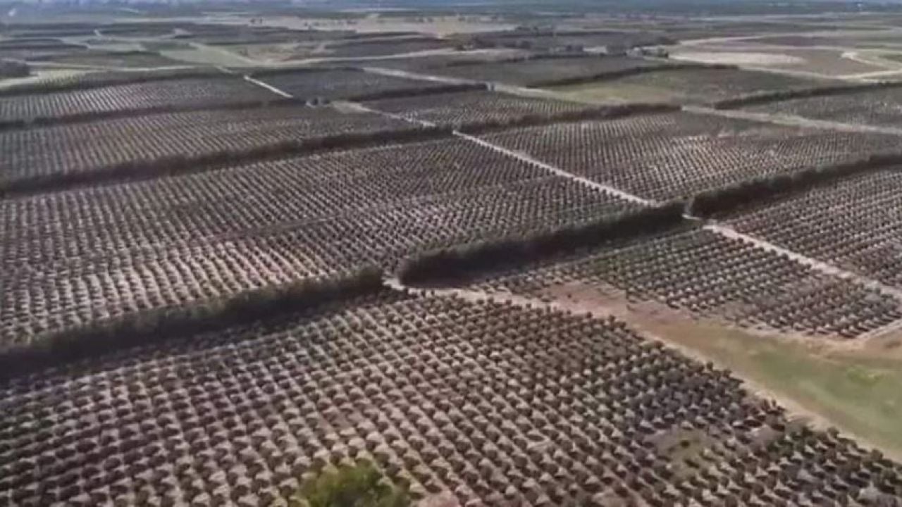 Foto - İtalyan Ferrero Türkiye'den alımı durdurdu! Büyük kriz patladı