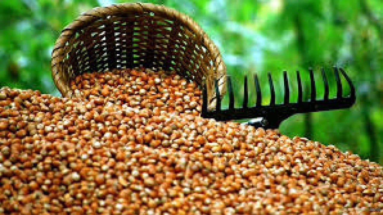 Foto - İtalyan Ferrero Türkiye'den alımı durdurdu! Büyük kriz patladı