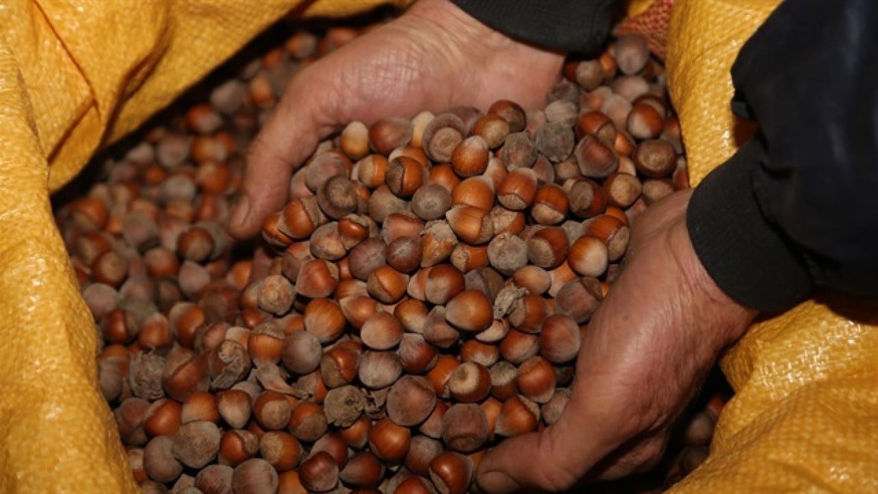 Foto - İtalyan Ferrero Türkiye'den alımı durdurdu! Büyük kriz patladı