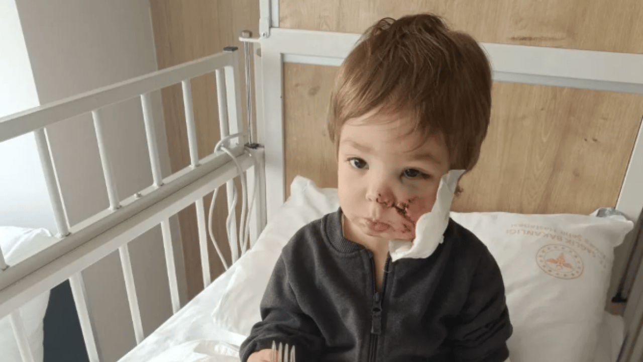 Foto - İtperestler milli güvenlik sorunu: Koruma içgüdüsüyle yapmış!