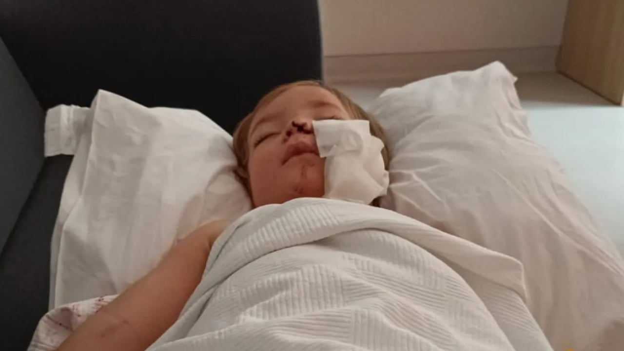 Foto - İtperestler milli güvenlik sorunu: Koruma içgüdüsüyle yapmış!