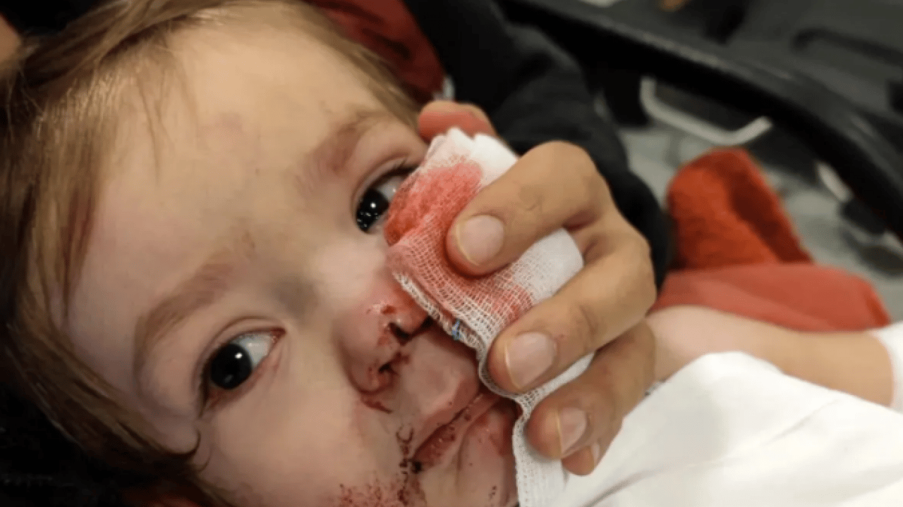 İtperestler milli güvenlik sorunu: Koruma içgüdüsüyle yapmış!