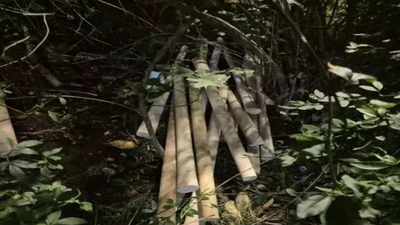 Foto - İyice gözleri döndü! Türklere saldırmak için ülkenin her yerine beyzbol sopası gizlemişler