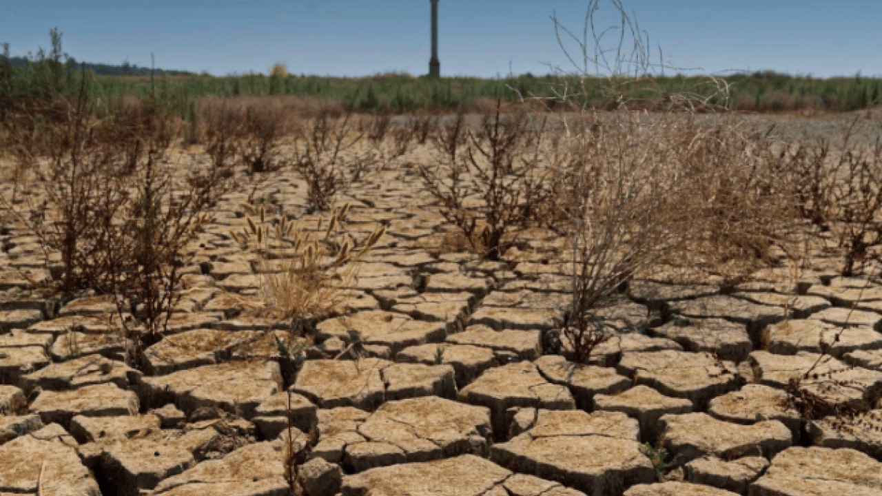 İzmir için kritik uyarı! Kuraklık kalıcı hale geliyor
