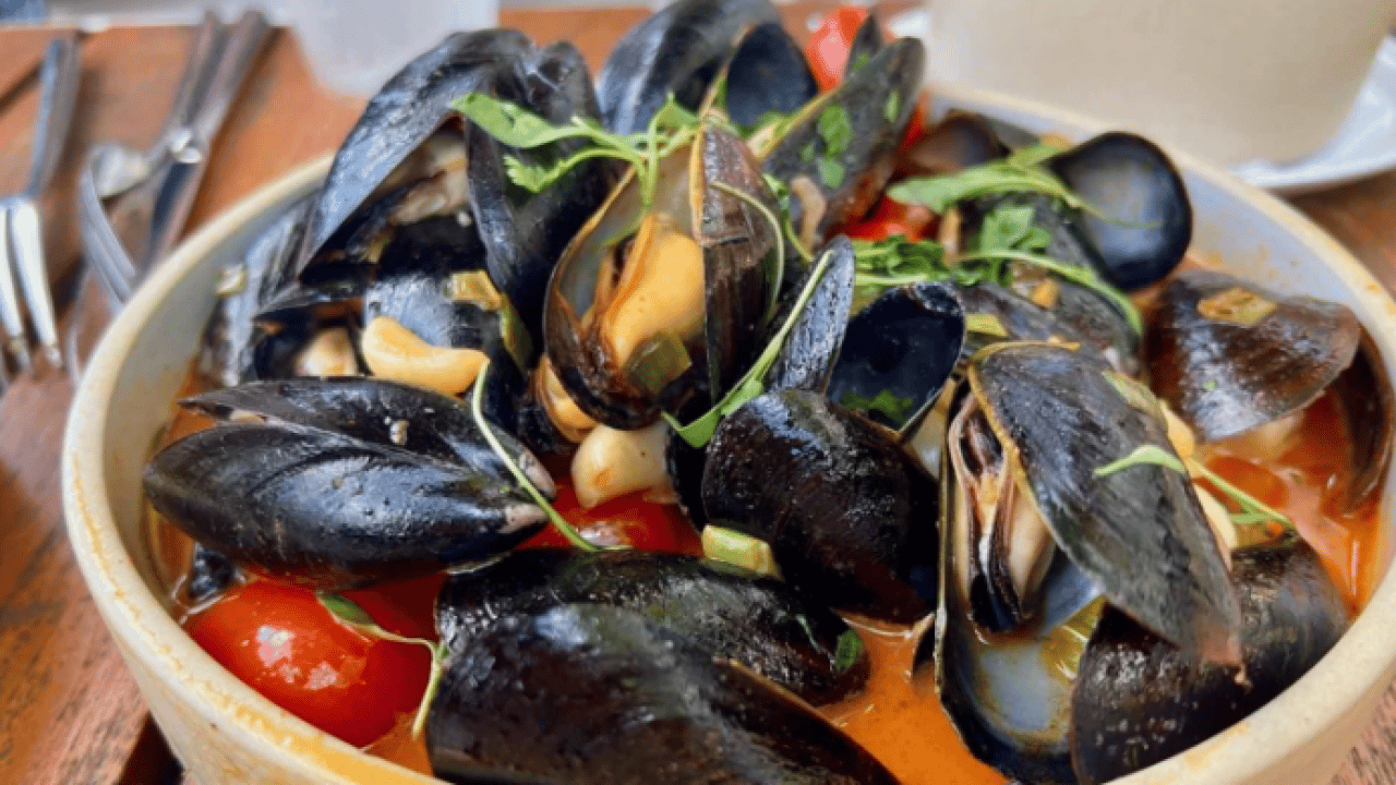 Foto - İzmir Körfezi’nde midye alarmı! Virüs iddialarına resmi açıklama