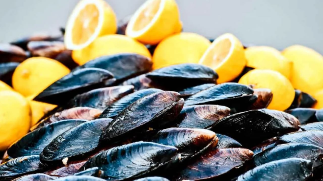 Foto - İzmir Körfezi’nde midye alarmı! Virüs iddialarına resmi açıklama