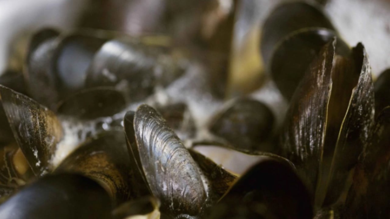 Foto - İzmir Körfezi’nde midye alarmı! Virüs iddialarına resmi açıklama