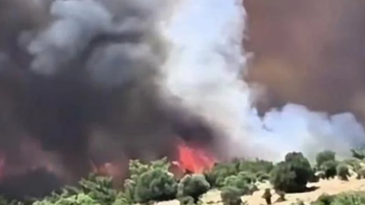 Foto - İzmir'de yangın çıktı! Alevler sahile kadar ulaştı!