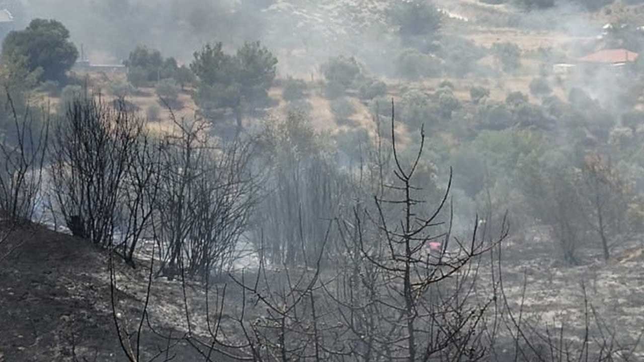 Foto - İzmir'den yürekleri ferahlatan haber