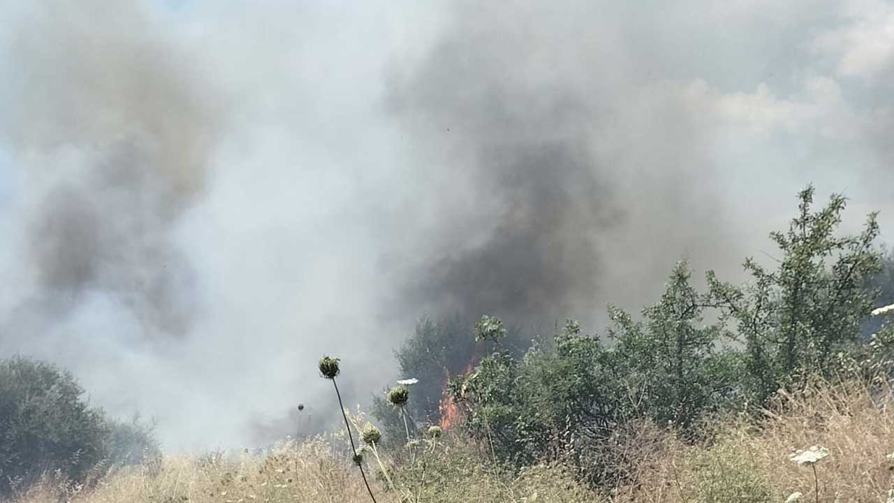 Foto - İzmir'den yürekleri ferahlatan haber