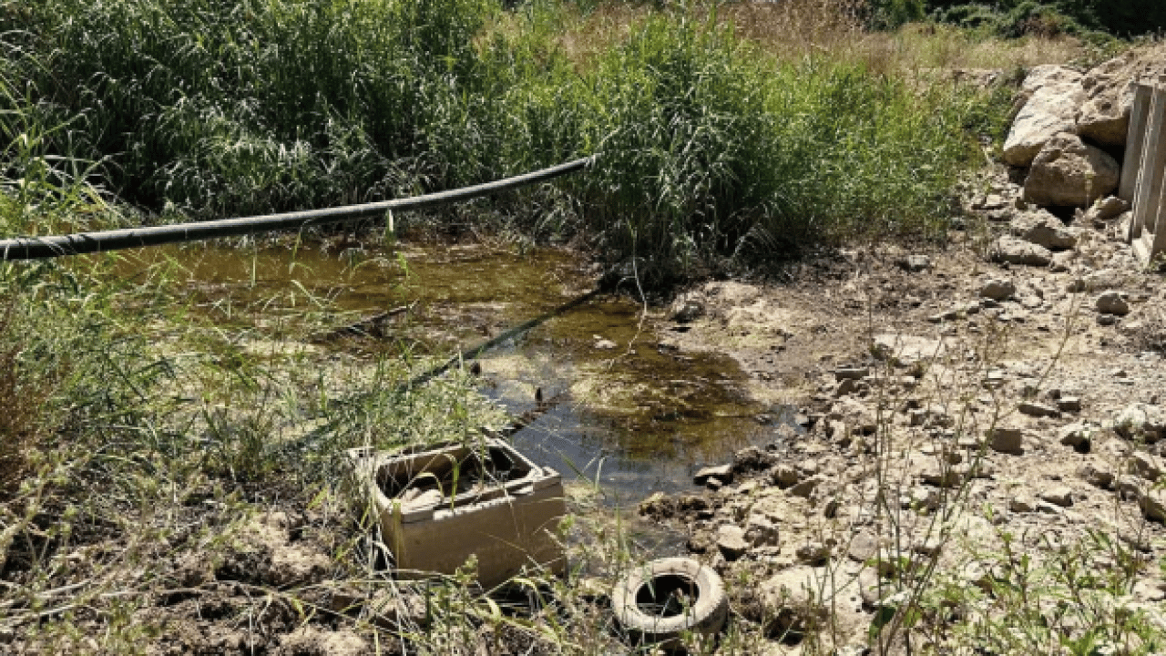 Foto - İznik Gölü can çekişiyor! Fabrikalar gölü kurutuyor