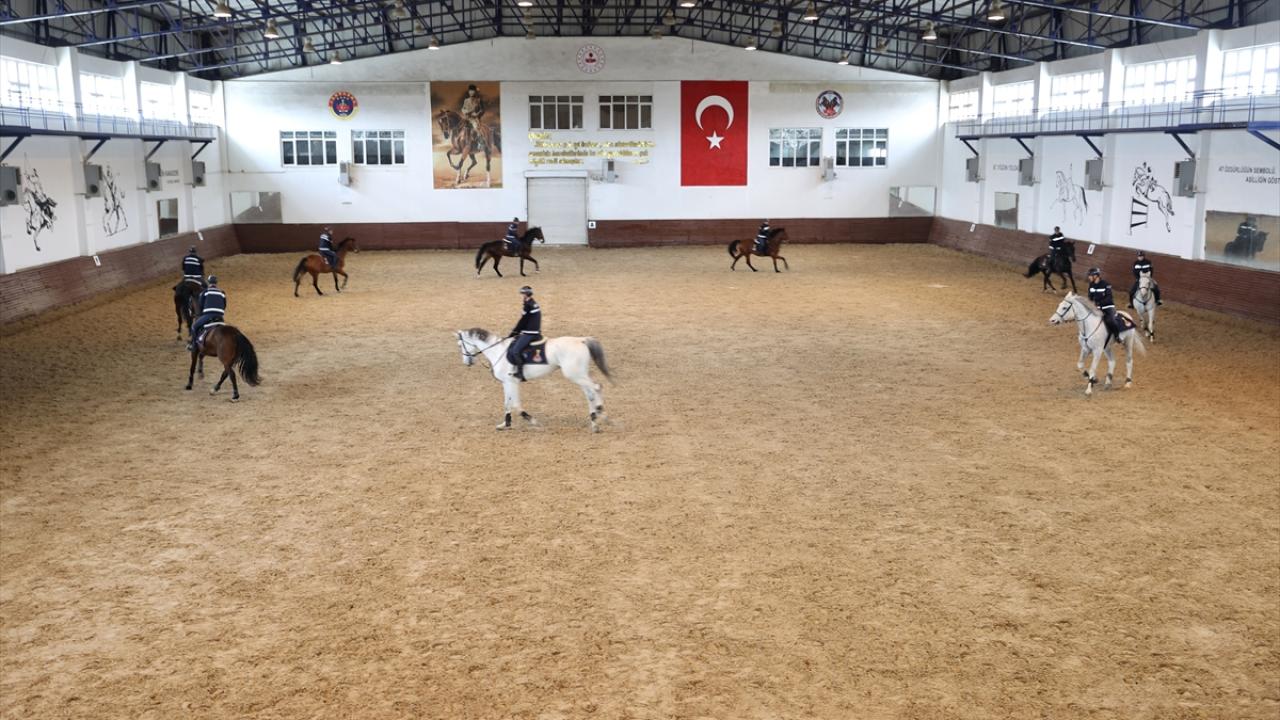 Foto - JAKEM’de zorlu eğitim! Onlar Jandarmanın sahadaki yardımcıları