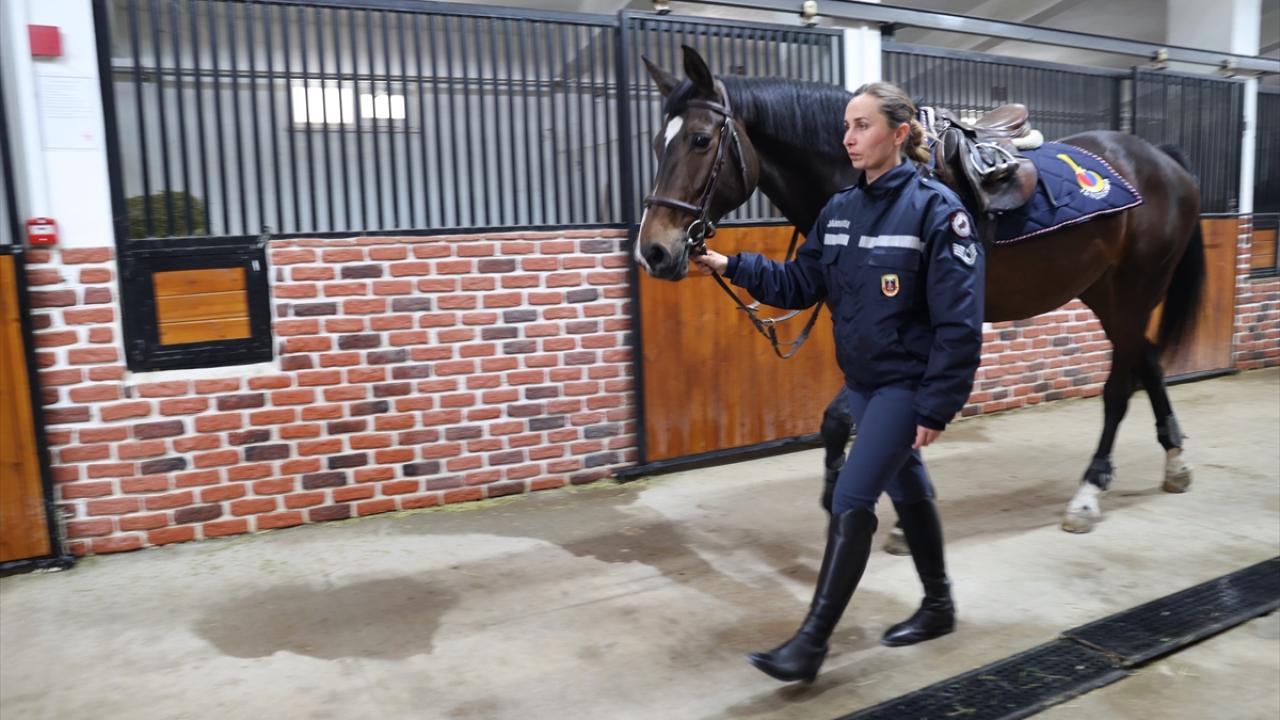 Foto - JAKEM’de zorlu eğitim! Onlar Jandarmanın sahadaki yardımcıları
