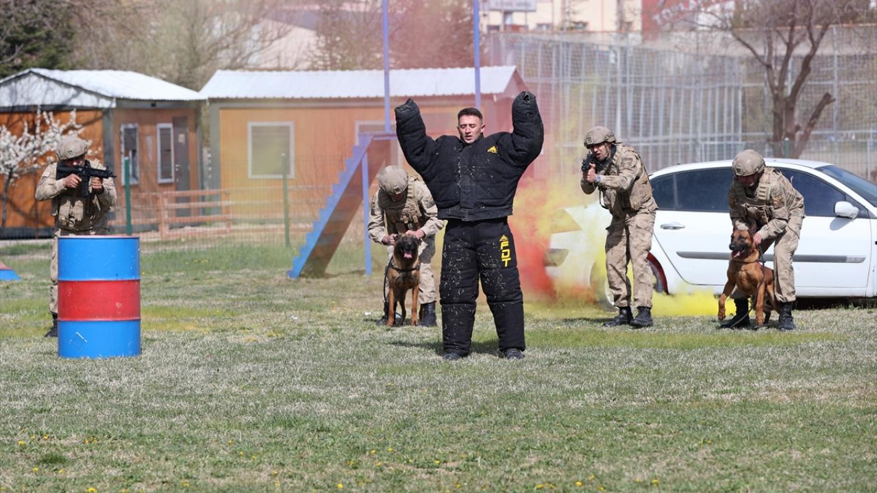 Foto - JAKEM’de zorlu eğitim! Onlar Jandarmanın sahadaki yardımcıları