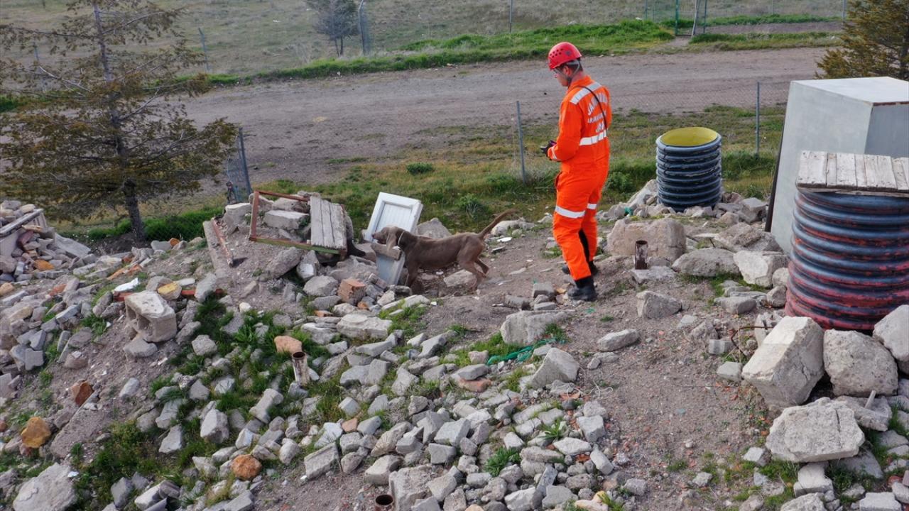 Foto - JAKEM’de zorlu eğitim! Onlar Jandarmanın sahadaki yardımcıları
