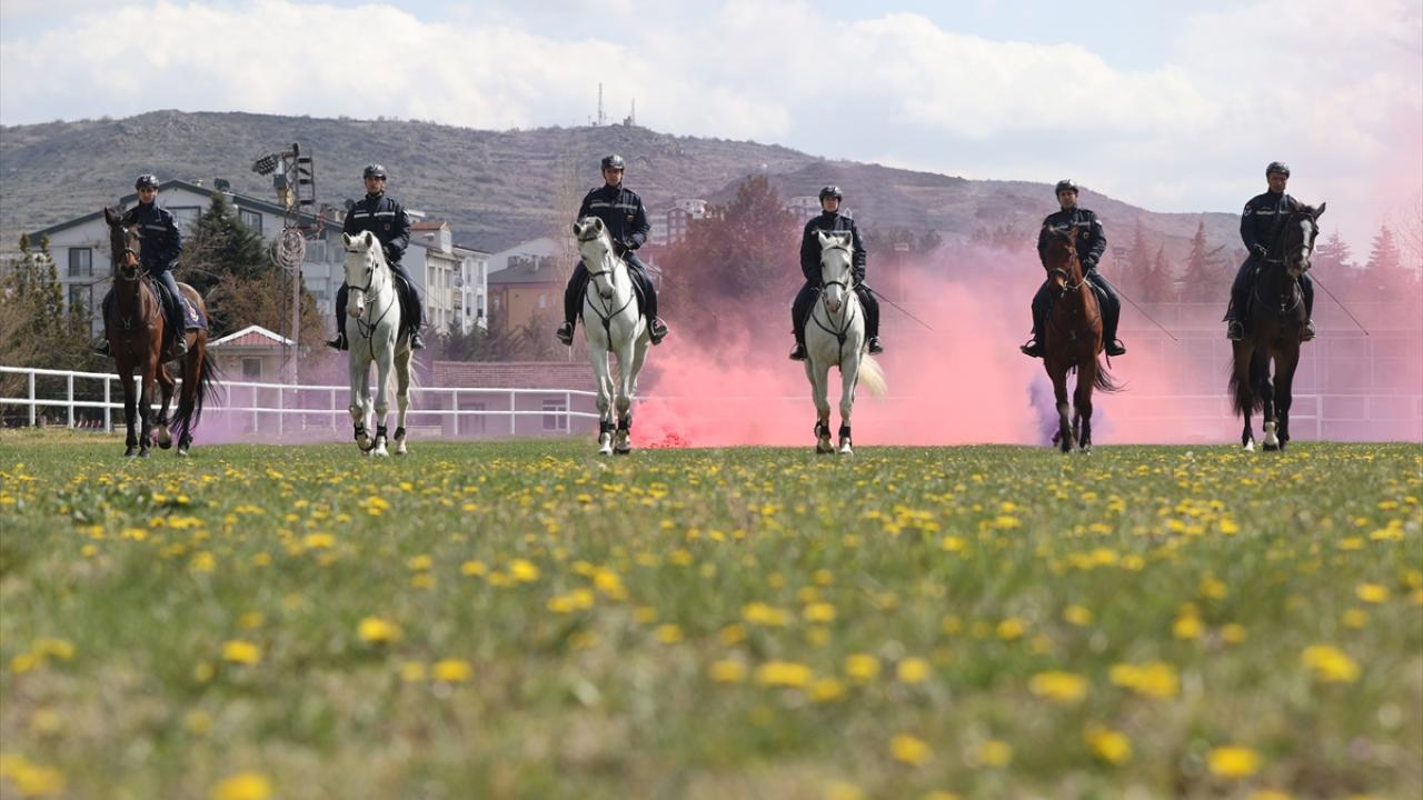 Foto - JAKEM’de zorlu eğitim! Onlar Jandarmanın sahadaki yardımcıları