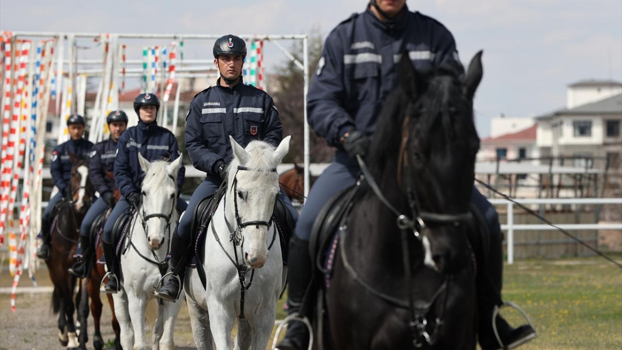 Foto - JAKEM’de zorlu eğitim! Onlar Jandarmanın sahadaki yardımcıları