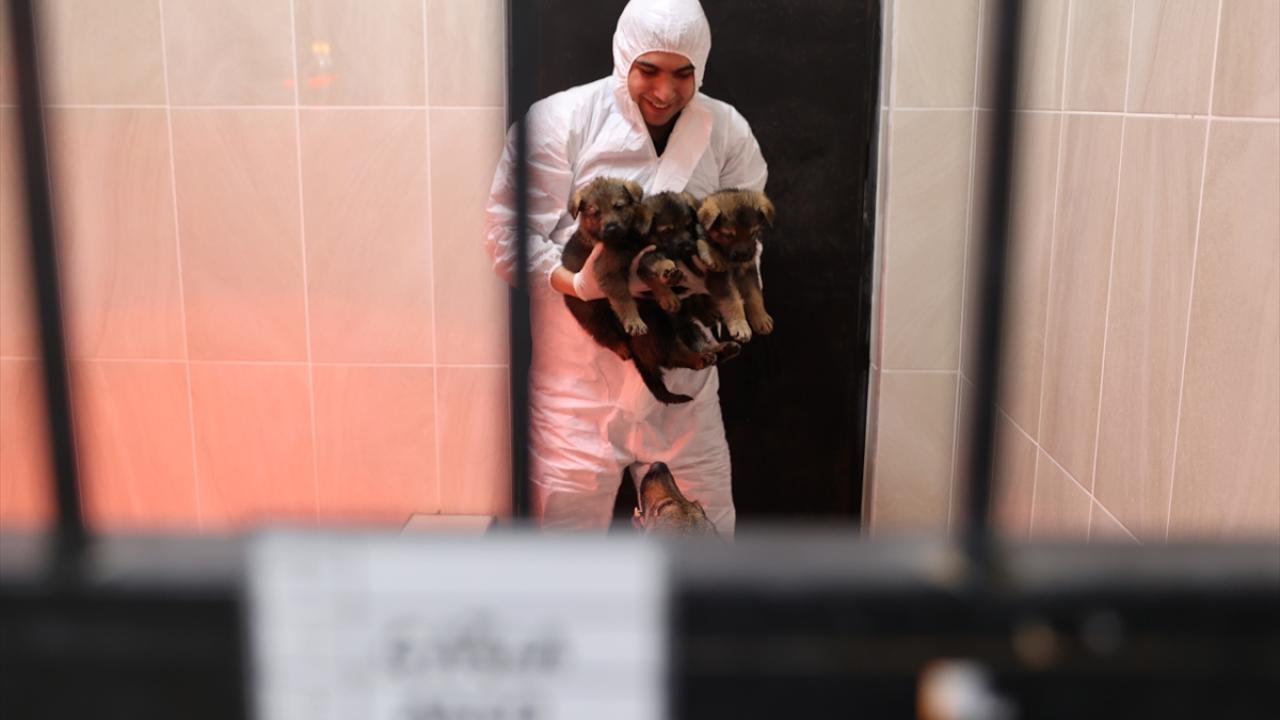 Foto - JAKEM’de zorlu eğitim! Onlar Jandarmanın sahadaki yardımcıları