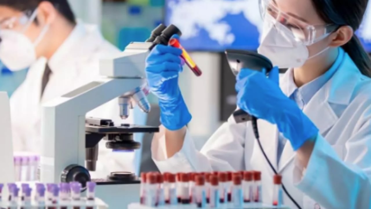 Foto - Japon bilim adamları açıkladı! Zeka fışkıran kan grubu: Japonya'da çok yaygın, başarılı oluyorlar En zeki ve akıllı kan grubu 