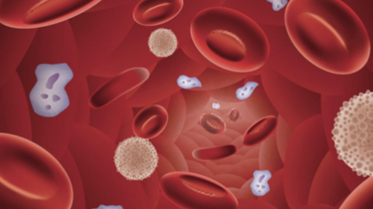 Foto - Japon bilim adamları açıkladı! Zeka fışkıran kan grubu: Japonya'da çok yaygın, başarılı oluyorlar En zeki ve akıllı kan grubu 