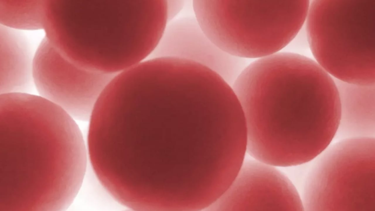 Foto - Japon bilim adamları açıkladı! Zeka fışkıran kan grubu: Japonya'da çok yaygın, başarılı oluyorlar En zeki ve akıllı kan grubu 