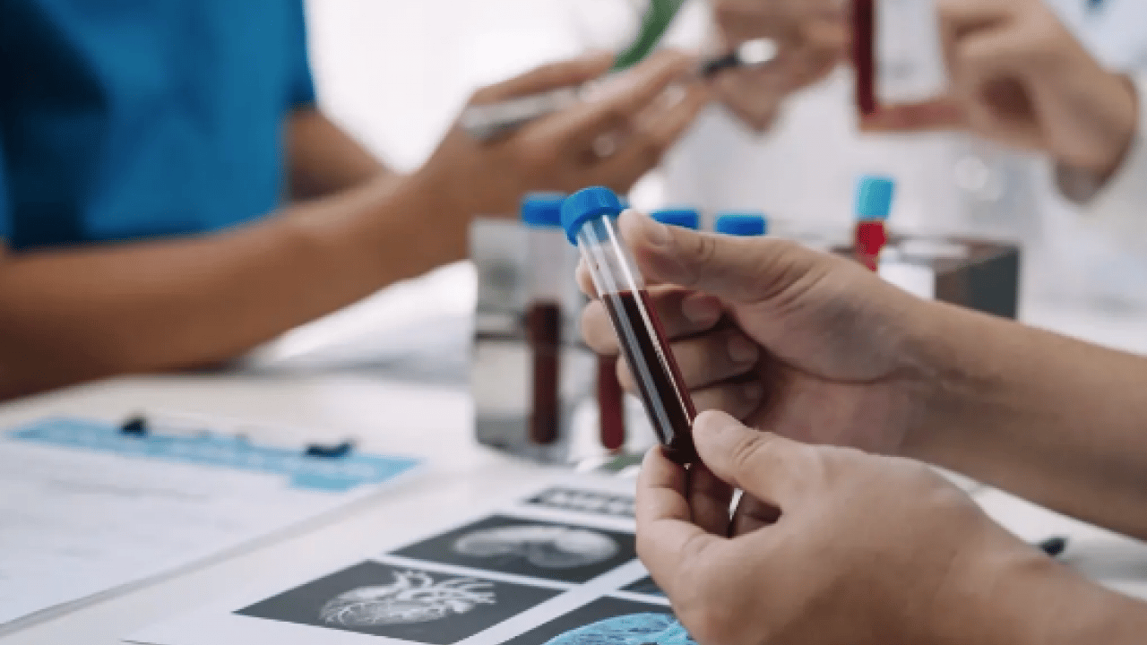 Foto - Japon bilim adamları açıkladı! Zeka fışkıran kan grubu: Japonya'da çok yaygın, başarılı oluyorlar En zeki ve akıllı kan grubu 