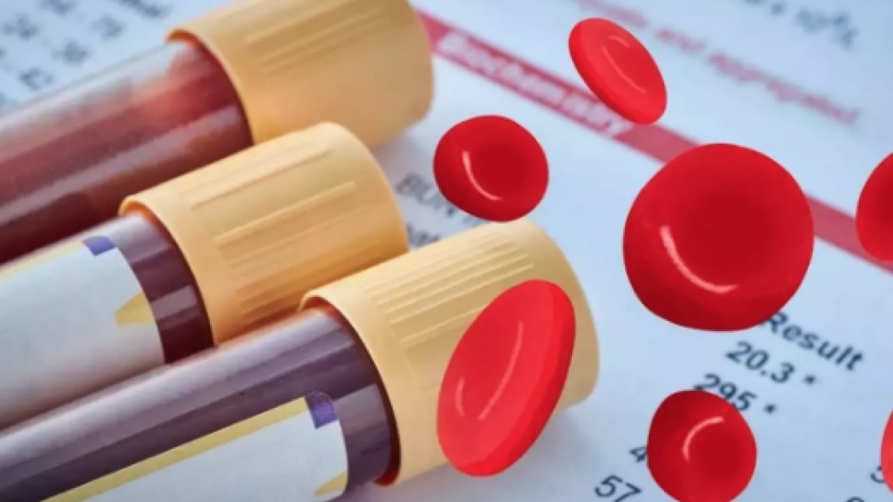 Foto - Japon bilim adamları açıkladı! Zeka fışkıran kan grubu: Japonya'da çok yaygın, başarılı oluyorlar En zeki ve akıllı kan grubu 