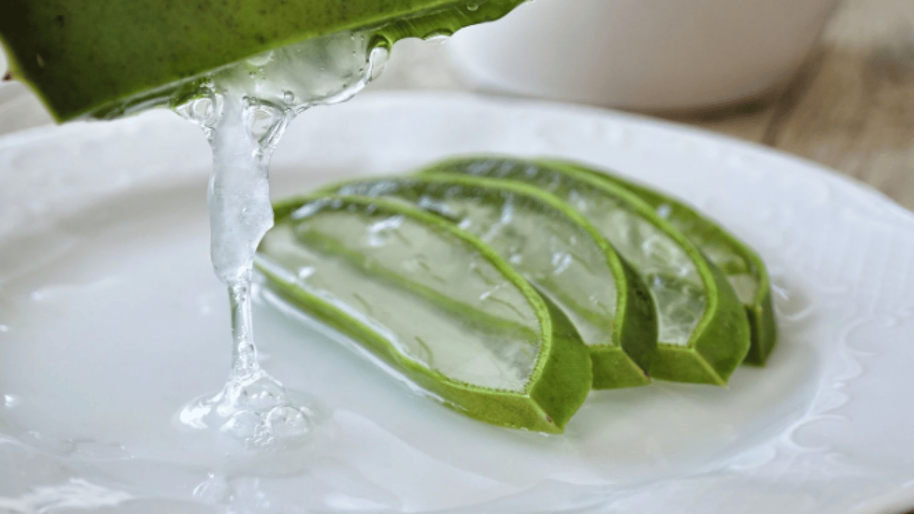 Foto - Japonlar bin yıllık sırrı açıkladı! İşte yaşlanmaya rağmen cildi genç tutan doğal yöntem