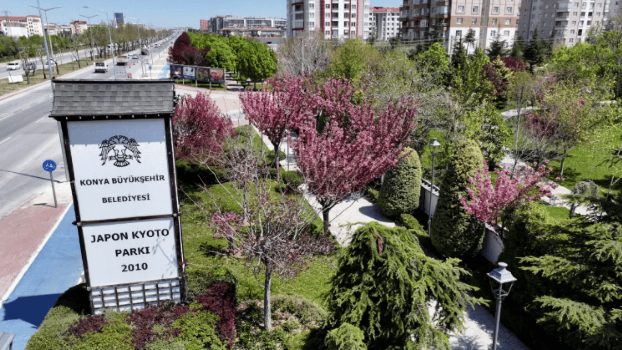 Foto - Burası Japonya değil Konya: Sakura mevsimi başladı!