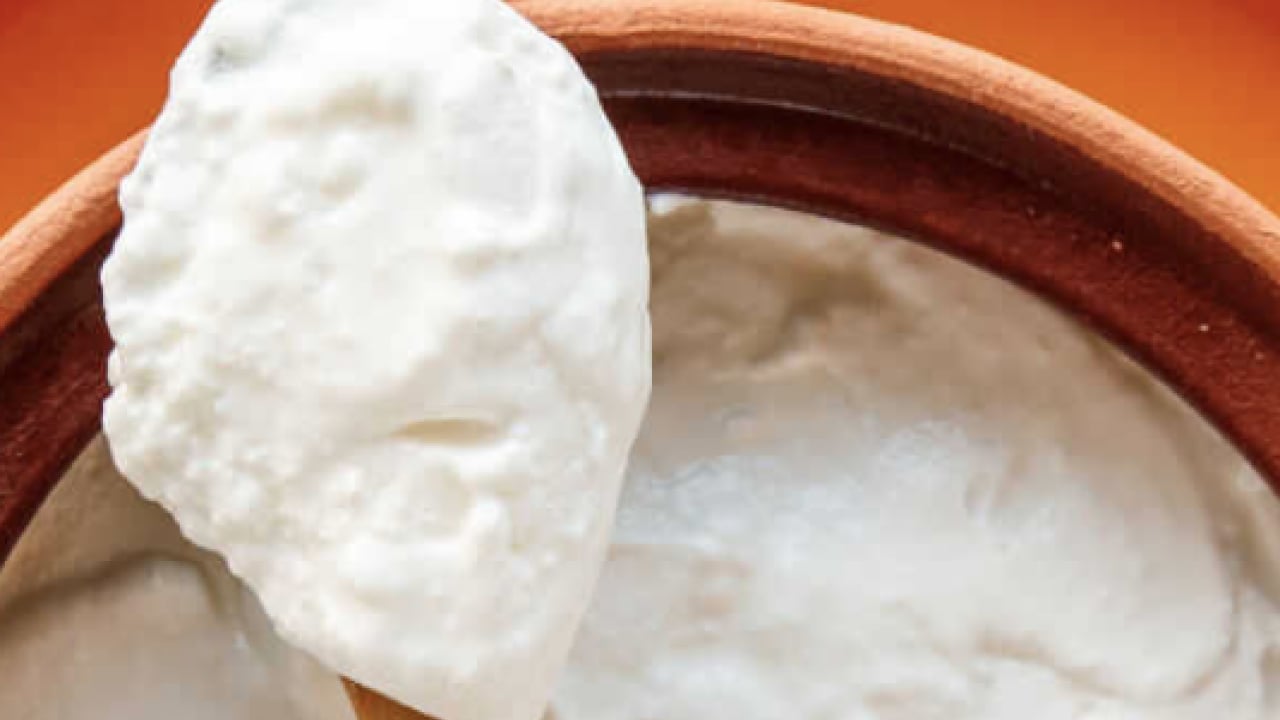 Foto - Jersey sütü ile birlikte daha kıvamlı... Kalıp gibi çıkıyor: Ev yoğurdu tarifi, taşırmadan kaynatın