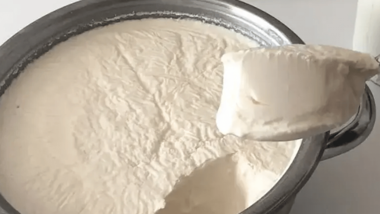 Jersey sütü ile birlikte daha kıvamlı... Kalıp gibi çıkıyor: Ev yoğurdu tarifi, taşırmadan kaynatın