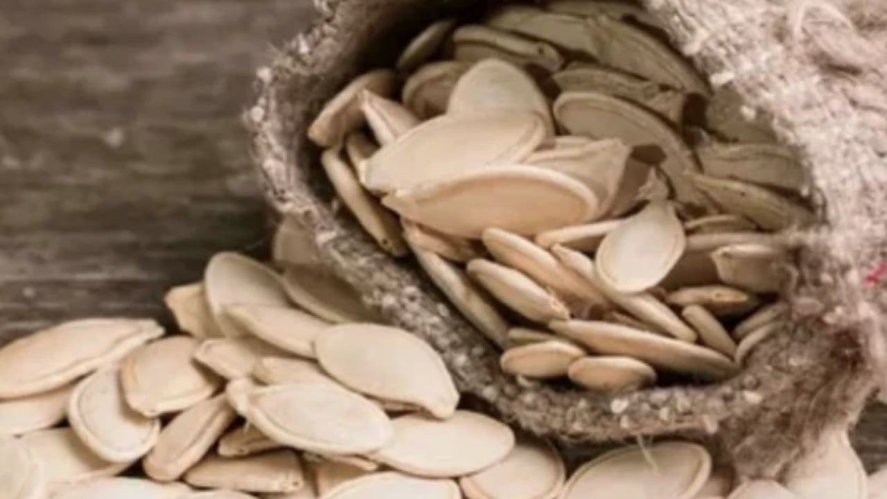 Foto - Kabak çekirdeği yiyin, ömrünüzü uzatın: 7 mucizevi faydaya kayıtsız kalmayın!