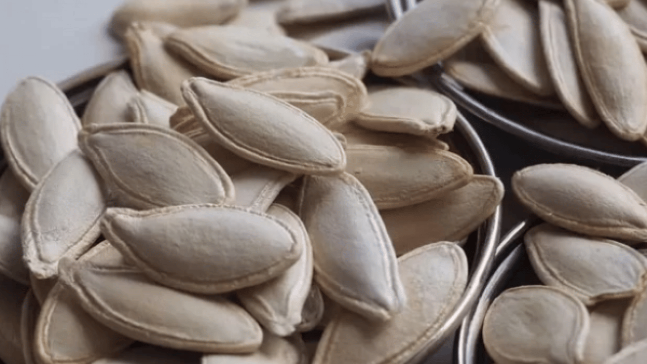 Foto - Kabak çekirdeği yiyin, ömrünüzü uzatın: 7 mucizevi faydaya kayıtsız kalmayın!