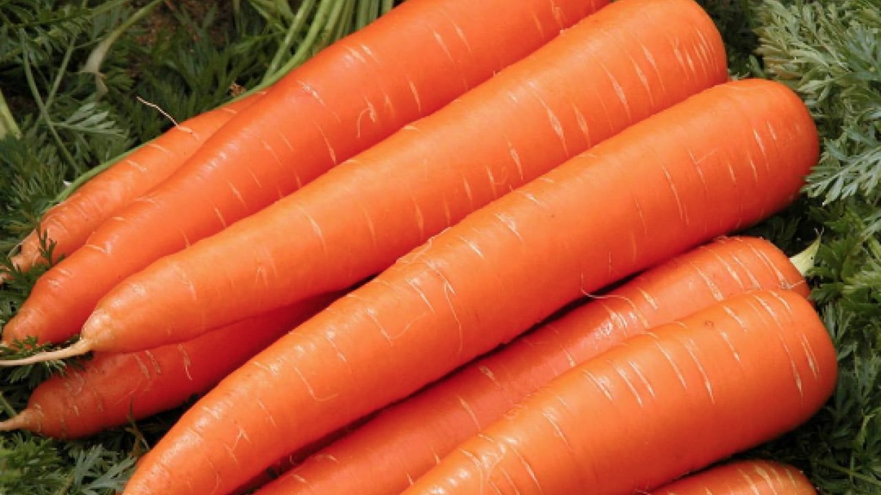 Foto - Damar sertliğini önlüyor! Kabuğu ilaç gibi: Bu sebze beta karoten deposu! 