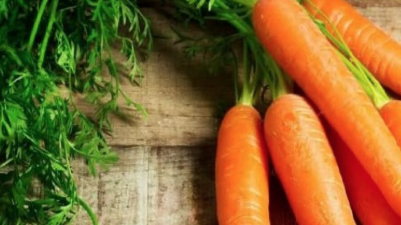 Foto - Damar sertliğini önlüyor! Kabuğu ilaç gibi: Bu sebze beta karoten deposu! 