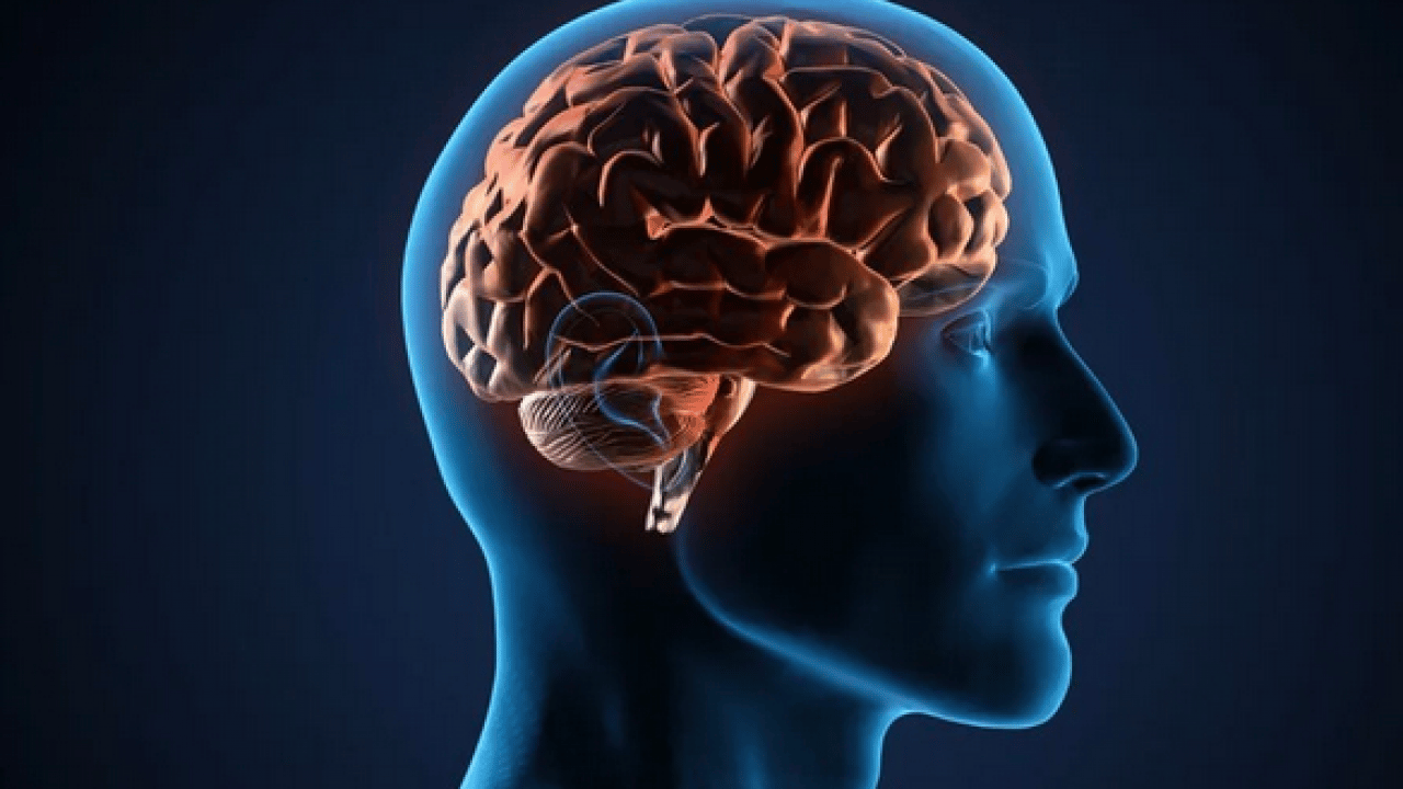 Foto - Kabul etmemek lazım: Beyniniz sizden daha yaşlı olabilir: Ne yapıp edip değiştirin…