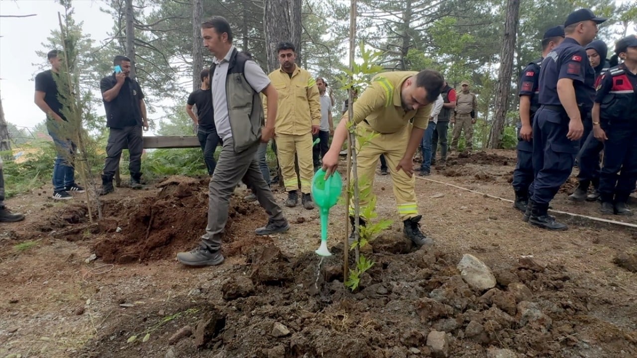 Kaçak evler bir bir yıkıldı Ormanı talan edenlere göz açtırılmıyor