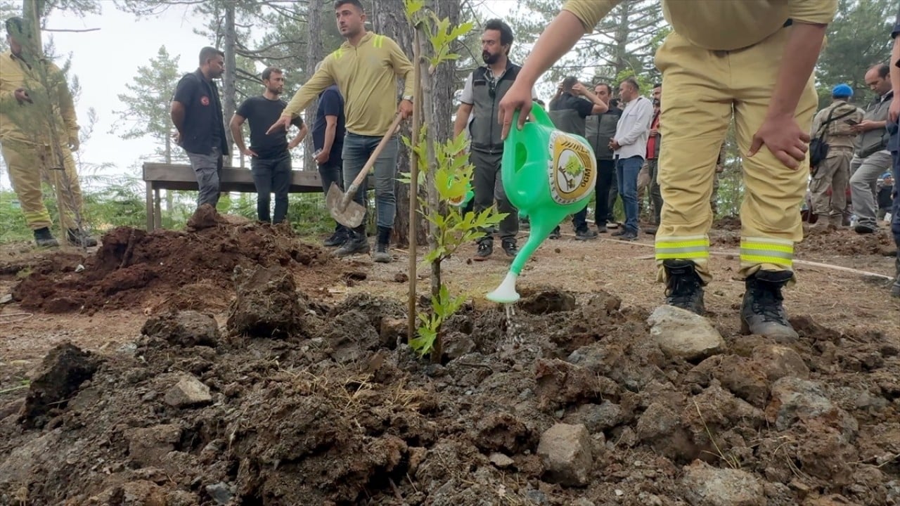 Foto - Kaçak evler bir bir yıkıldı Ormanı talan edenlere göz açtırılmıyor